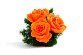 flores para primavera